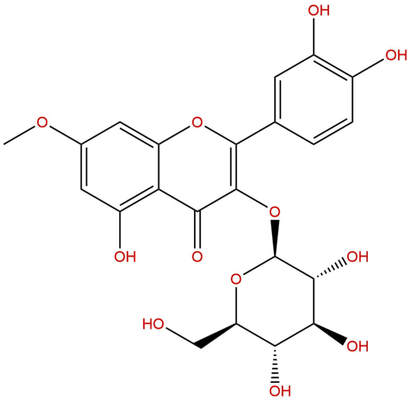 Rhamnetin-3-O-glucoside