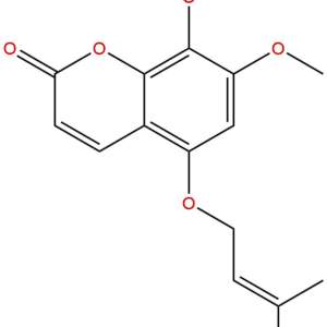 104196 69 2 - BIORLAB