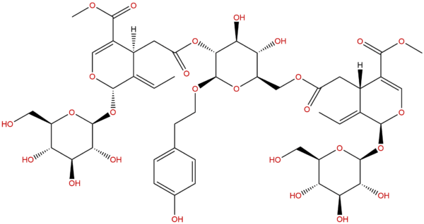 Oleonuezhenide
