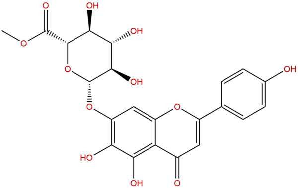 Scutellarin methylester