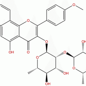 1197194 31 2 - BIORLAB