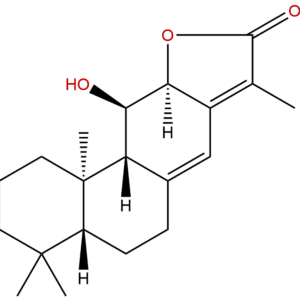 130466 20 5 - BIORLAB