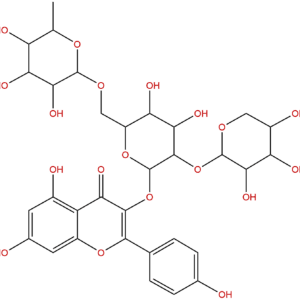 131573 90 5 - BIORLAB