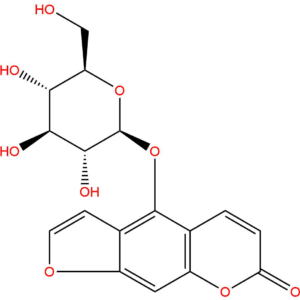 131623 13 7 - BIORLAB