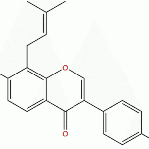 135384 00 8 - BIORLAB
