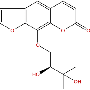 139079 42 8 - BIORLAB