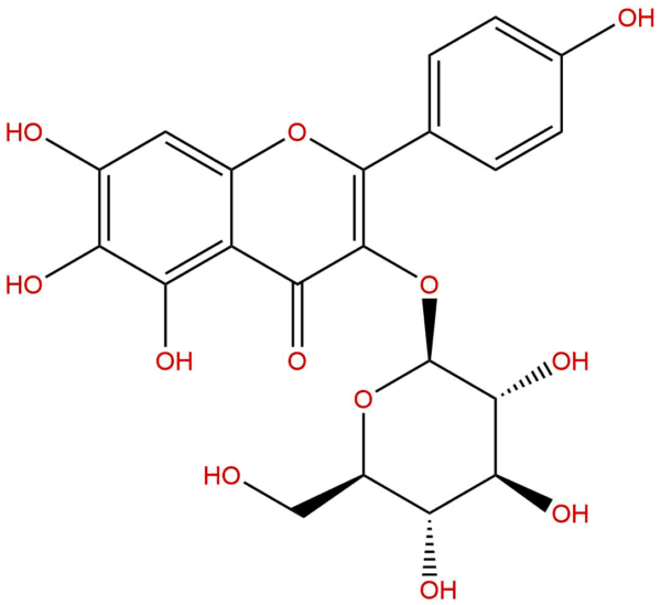 6-Hydroxykaempferol 3-O-beta-D-glucoside