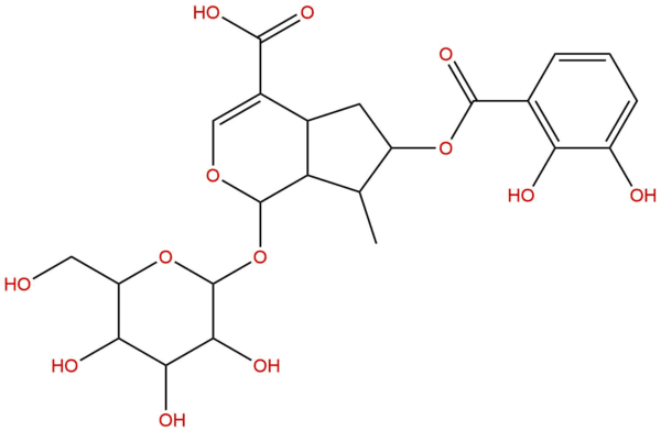 Gentiournoside D