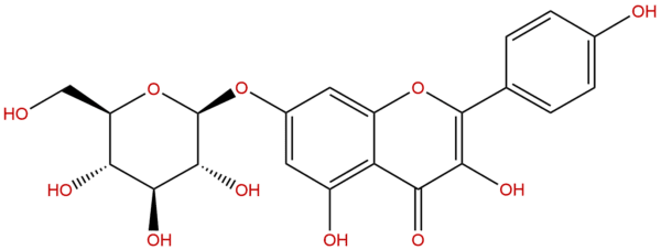 kaempferol 7-O-glucoside
