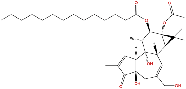 Phorbol 12-myristate 13-acetate