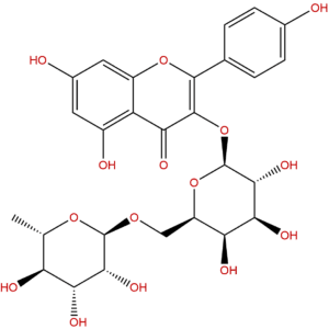 17297 56 2 - BIORLAB