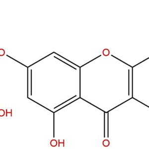 17331 72 5 - BIORLAB