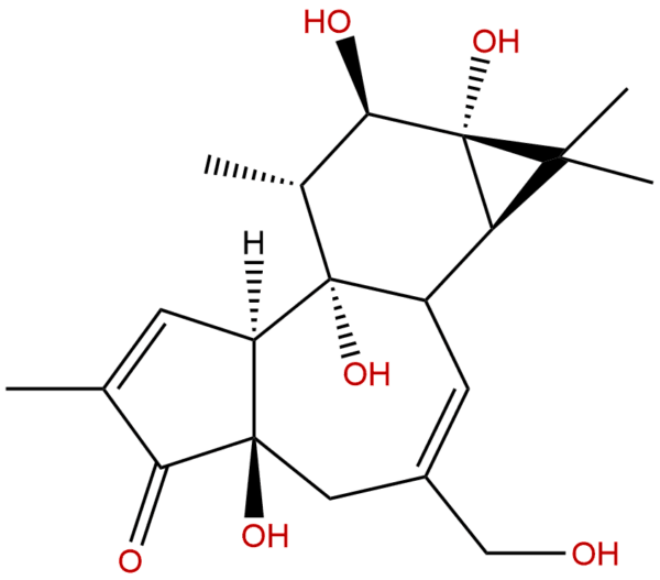 Phorbol