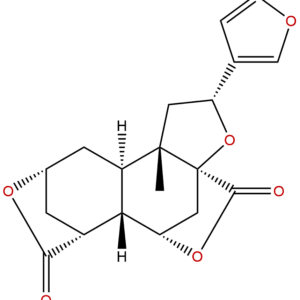 20086 06 0 - BIORLAB