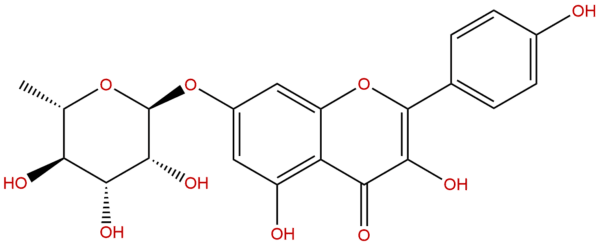 Kaempferol-7-rhamnoside