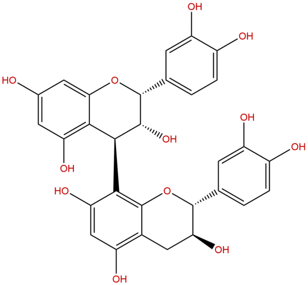 Procyanidin B1