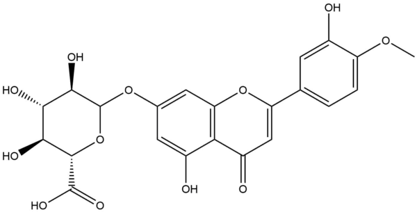 DiosMetin 7-O-beta-D-Glucuronide
