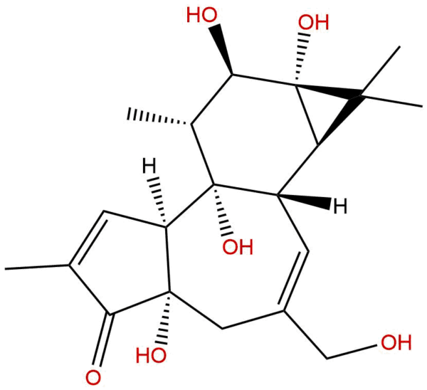 Isophorbol