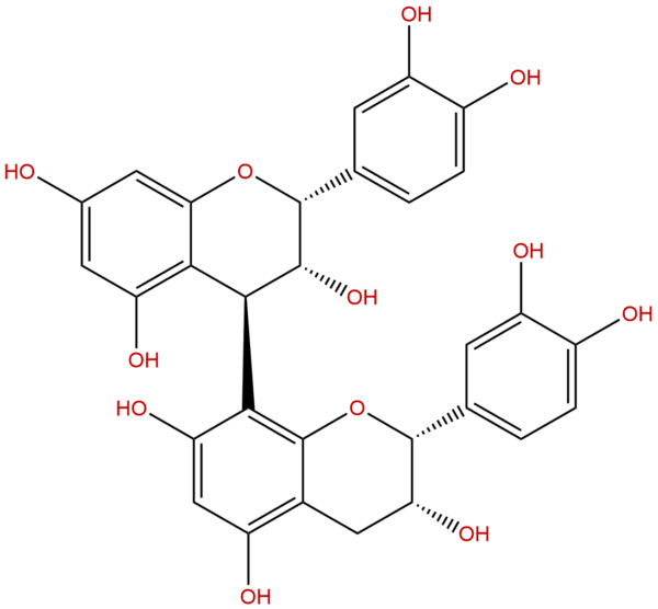 Procyanidin B2, (+)-