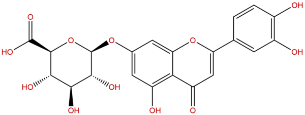 Luteolin 7-glucuronide