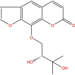 31575 93 6 - BIORLAB
