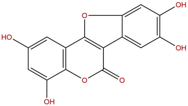 Isodemethylwedelolactone