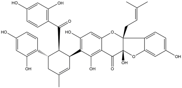 Sanggenon C