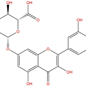 38934 20 2 - BIORLAB