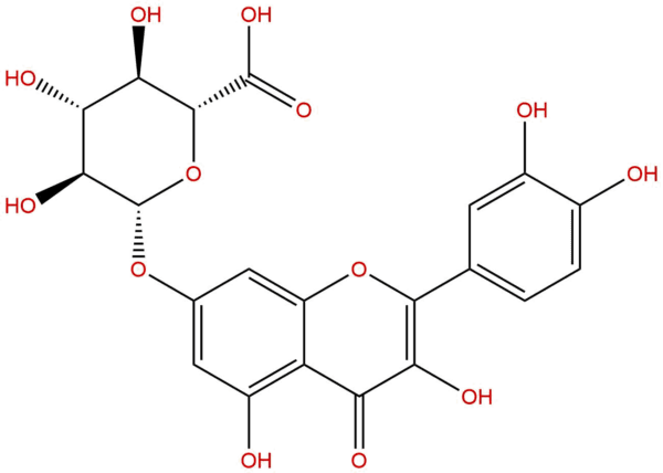 Quercetin 7-glucuronide