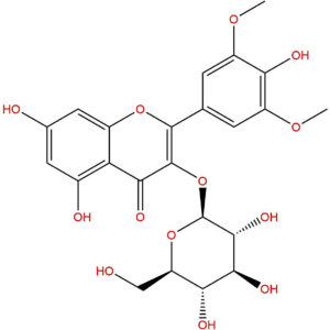 40039 49 4 - BIORLAB