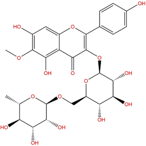 403861 33 6 - BIORLAB