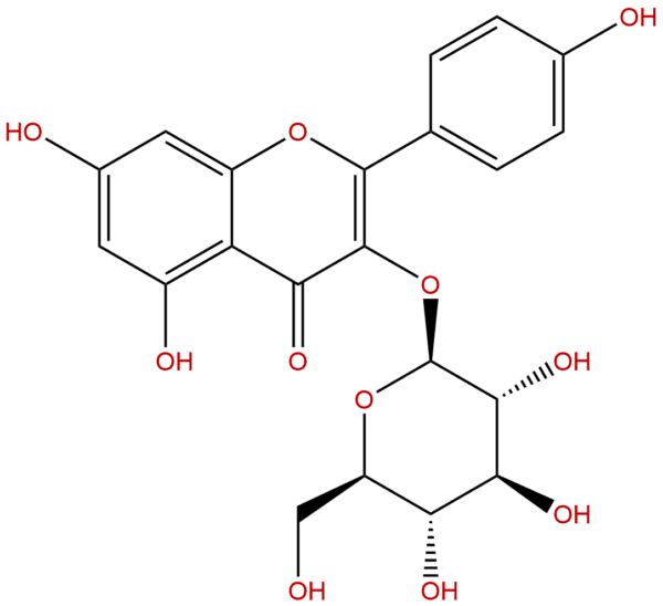 Astragalin