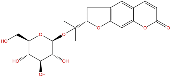 Ammijin