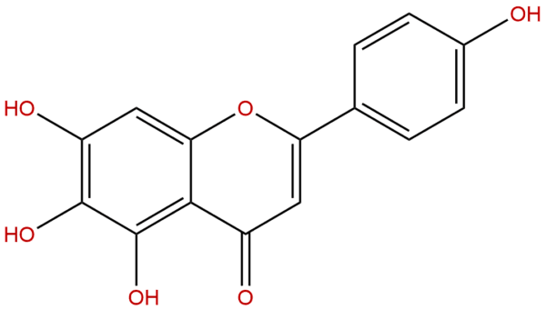 Scutellarein