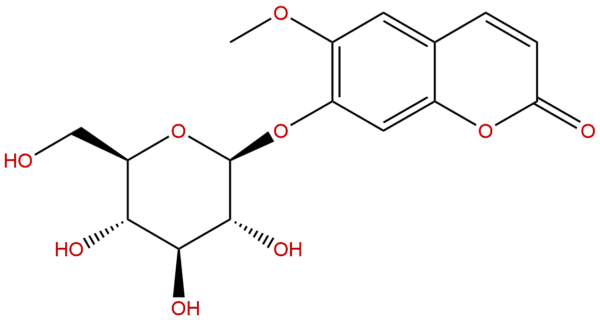 Scopolin