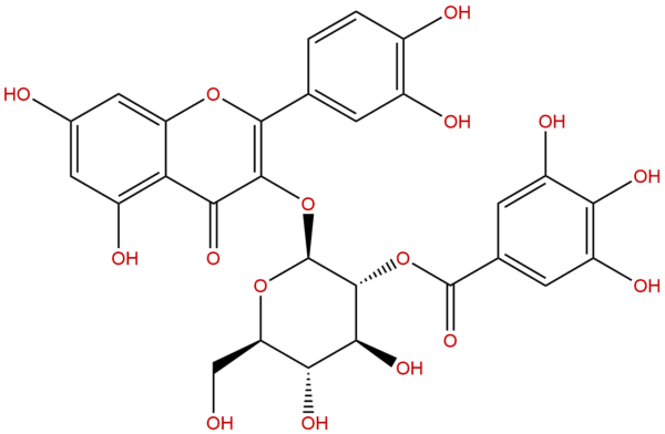 2'-O-galloylhyperin