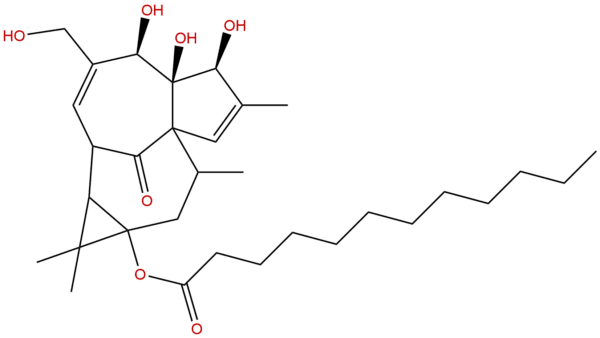 Dodecanoic acid ingenol ester