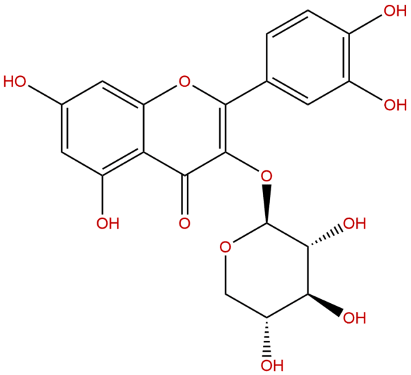 Quercetin 3-O-beta-D-xylopyranoside