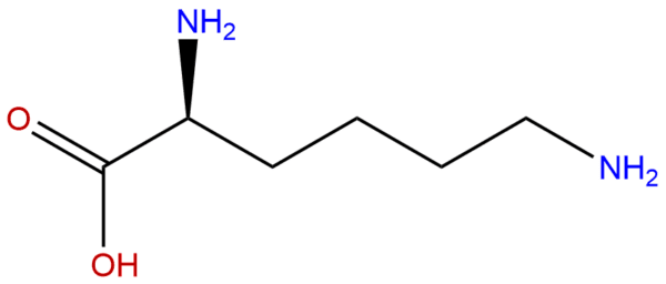 Lysine
