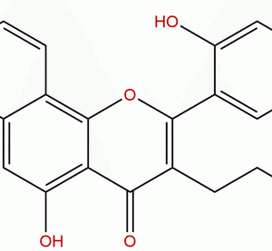 62949 93 3 - BIORLAB