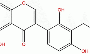 66056 19 7 - BIORLAB
