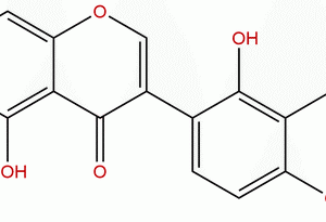 66056 30 2 - BIORLAB