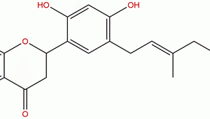 68401 05 8 - BIORLAB