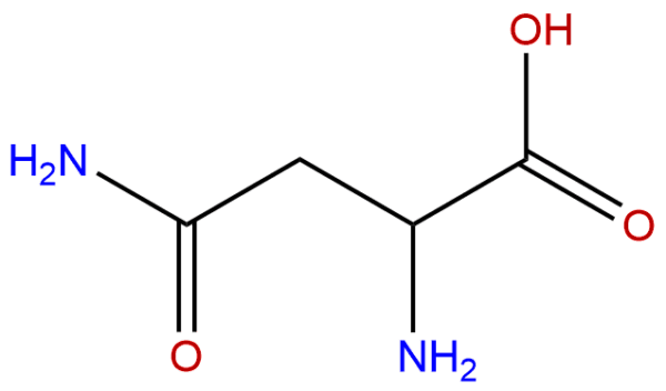 Asparagine