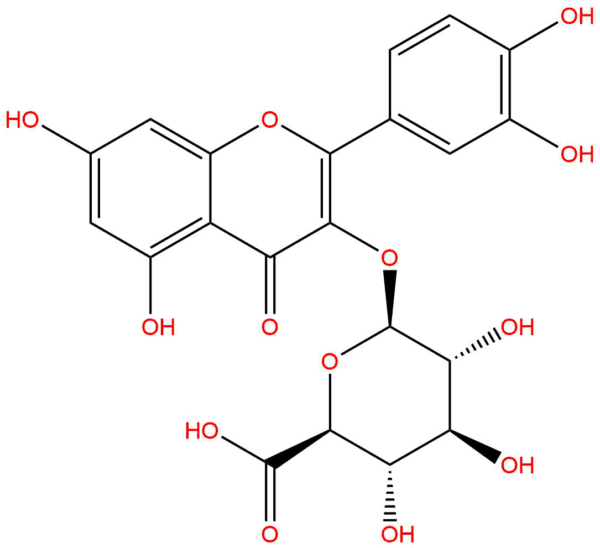Querciturone