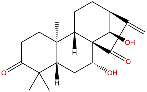 Glaucocalyxin A