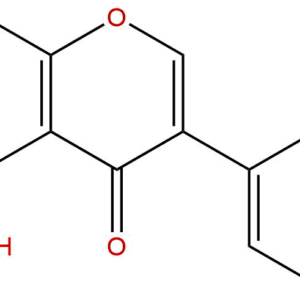83983d48b26b55f4229857f58a3aa7ab - BIORLAB
