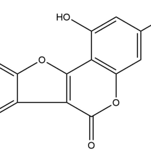 84b58ded9319e7fd0a68619f200b2dfa - BIORLAB