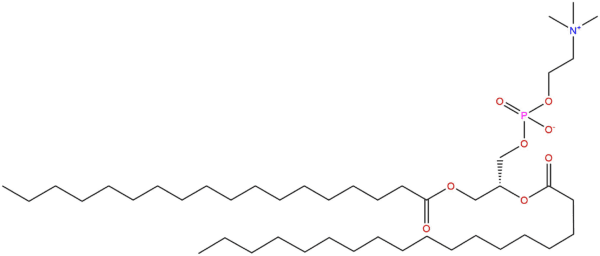1,2-Distearoyl-sn-glycero-3-phosphocholine