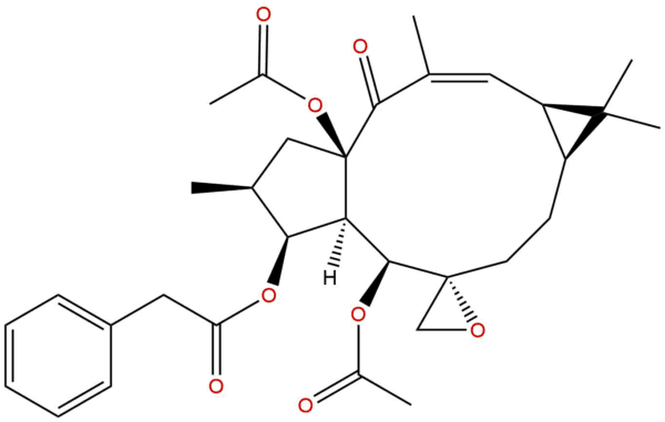 Euphorbiasteroid